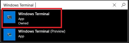 Install Windows Terminal - Windows store