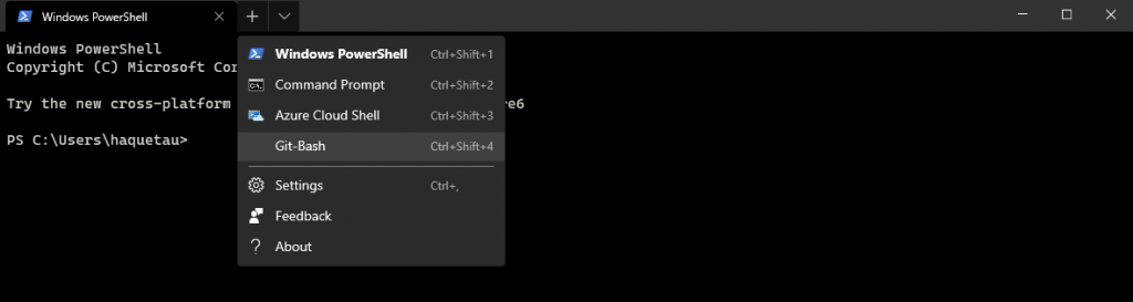 Add Git Bash to Windows Terminal new Profile