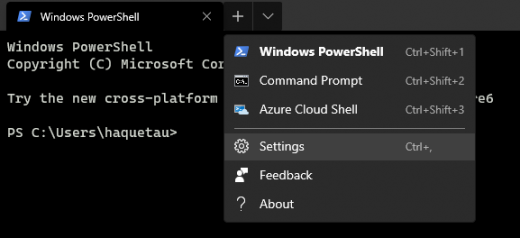 How to Install Windows Terminal in Windows 10