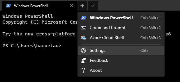 Install Windows Terminal settings.json