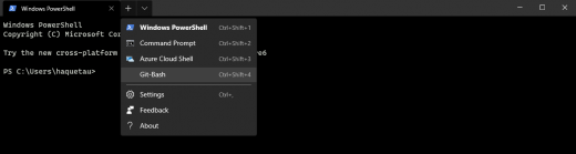 How to add Git Bash to Windows Terminal Application