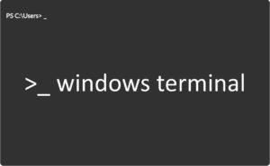 How to add a new profile in Windows Terminal 1